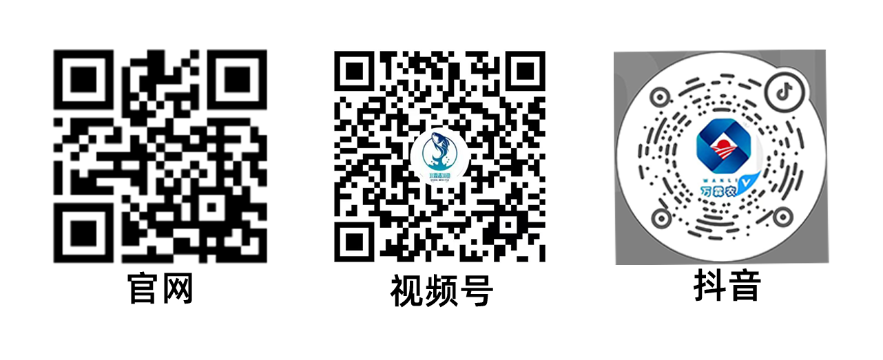 1762913019505905.png 图片5.png